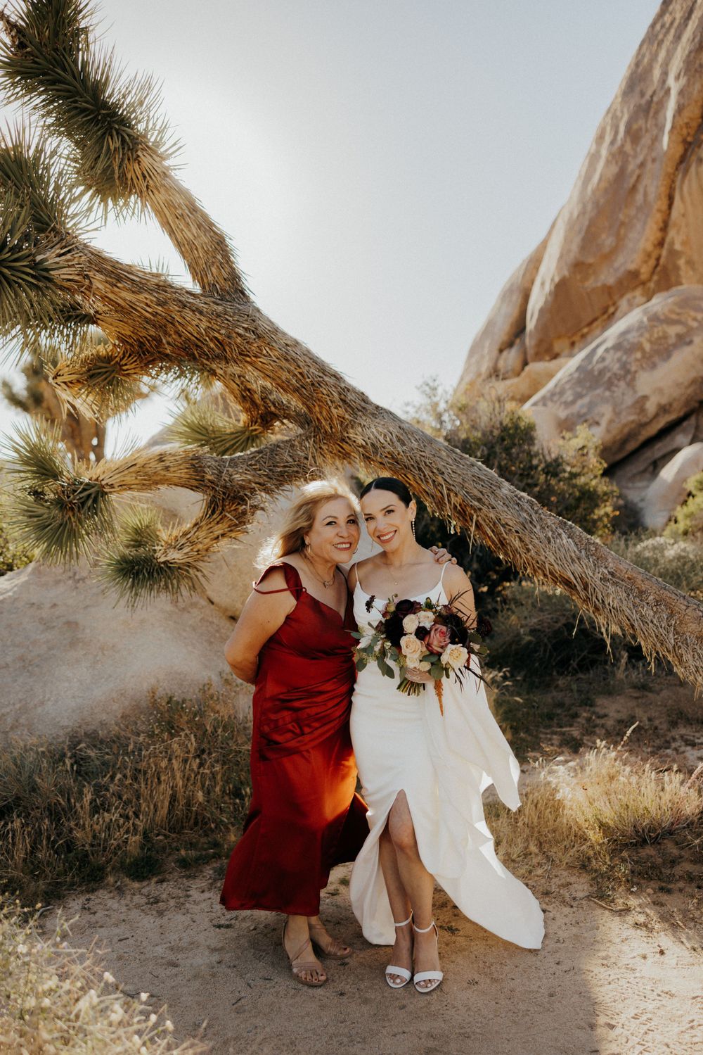 Wedding couple poses beneath a Joshua tree in a desert setting with stunning rock formations.