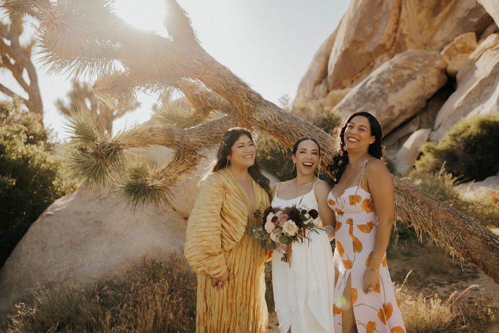 Wedding party poses in colorful dresses against desert rock formations at sunset.