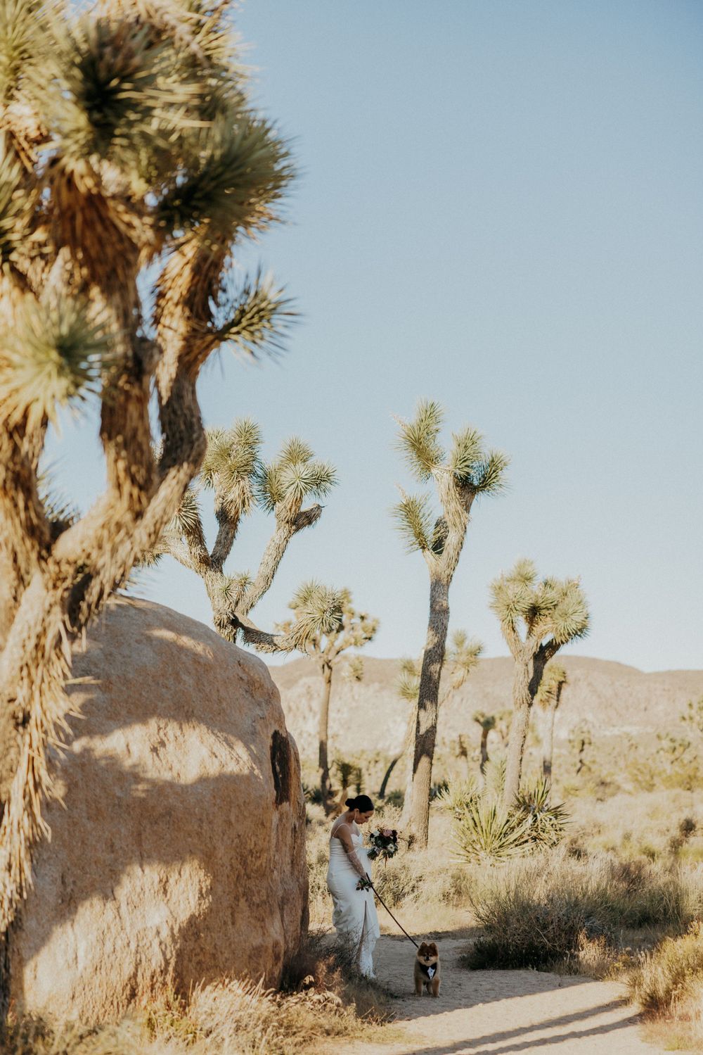 Desert wedding scene with Joshua trees and large rock formations in the background.
