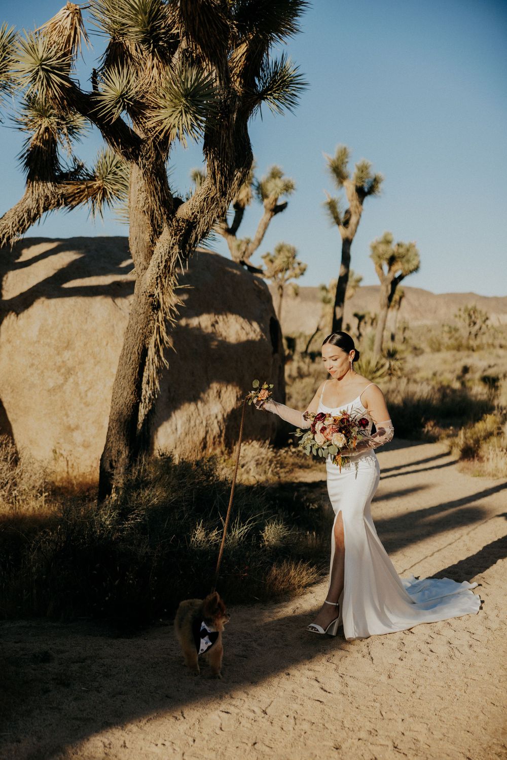 Elegant wedding photography in Joshua Tree National Park with desert landscape.
