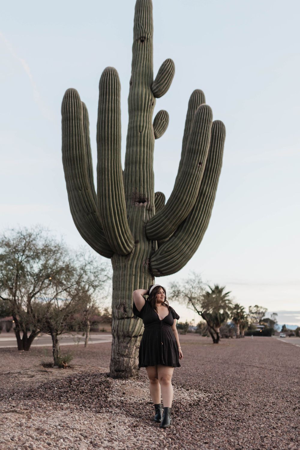 Majestic saguaro cactus standing tall in a desert landscape at dusk.