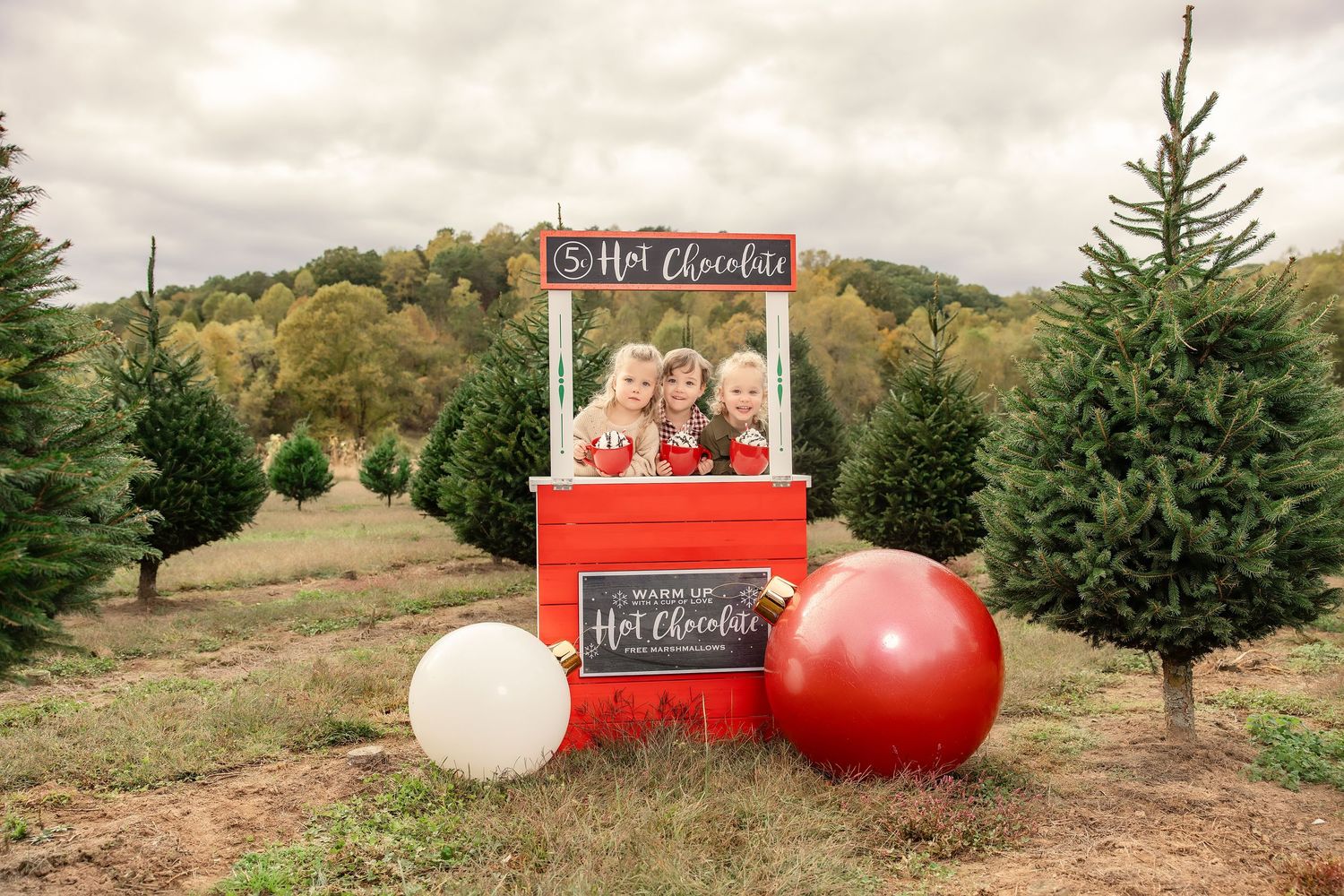 christmas tree farm knoxville