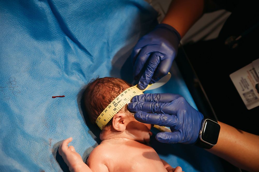 Newborn baby girl