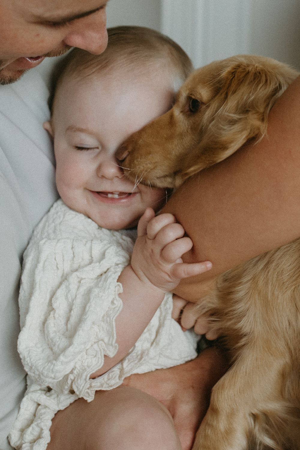 A tender moment between a daschund dog and a person in a white lace top as they share affectionate cuddles.