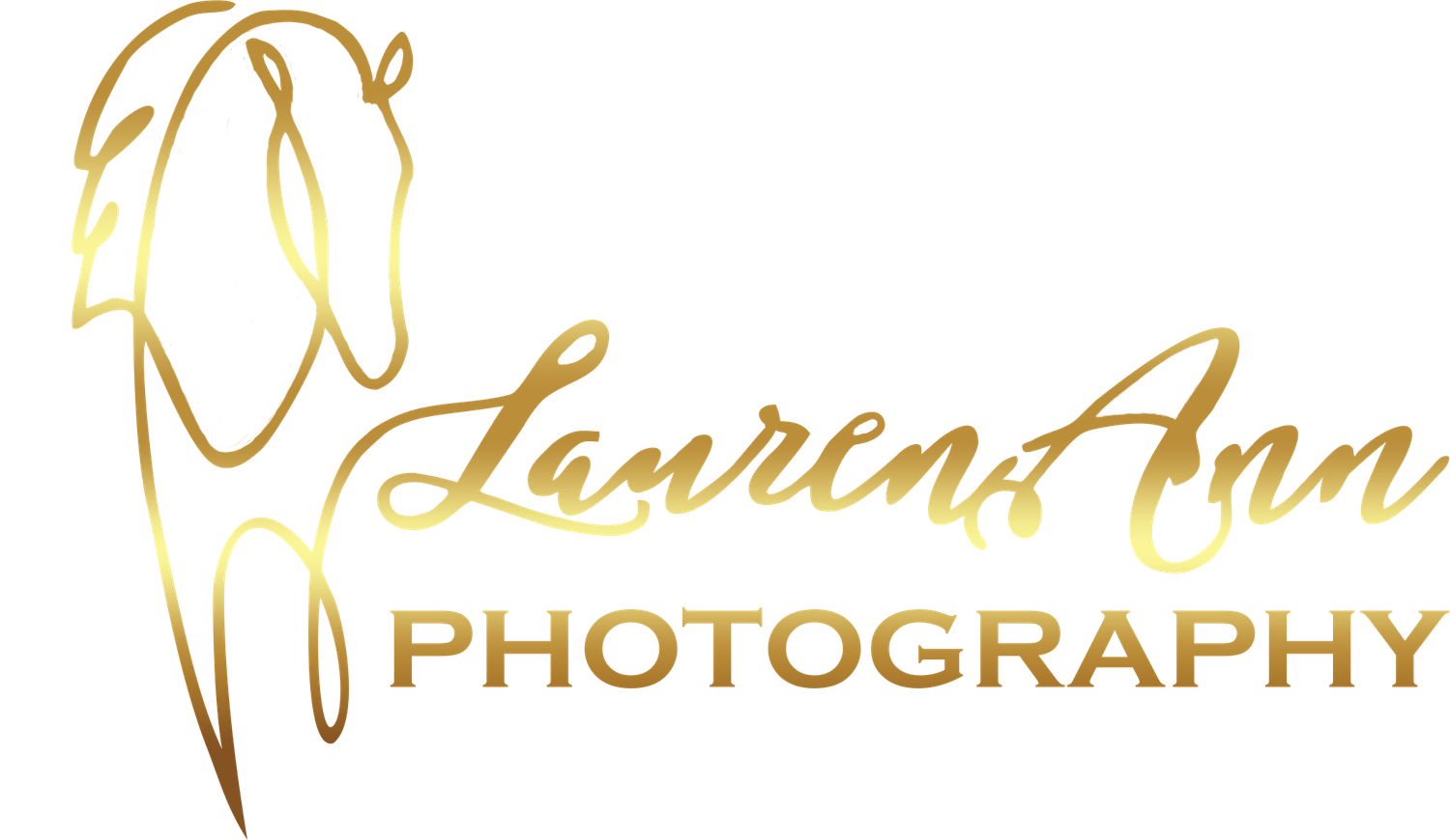 Elegant horse logo with script lettering for Lauren Ann Photography in metallic gold finish.