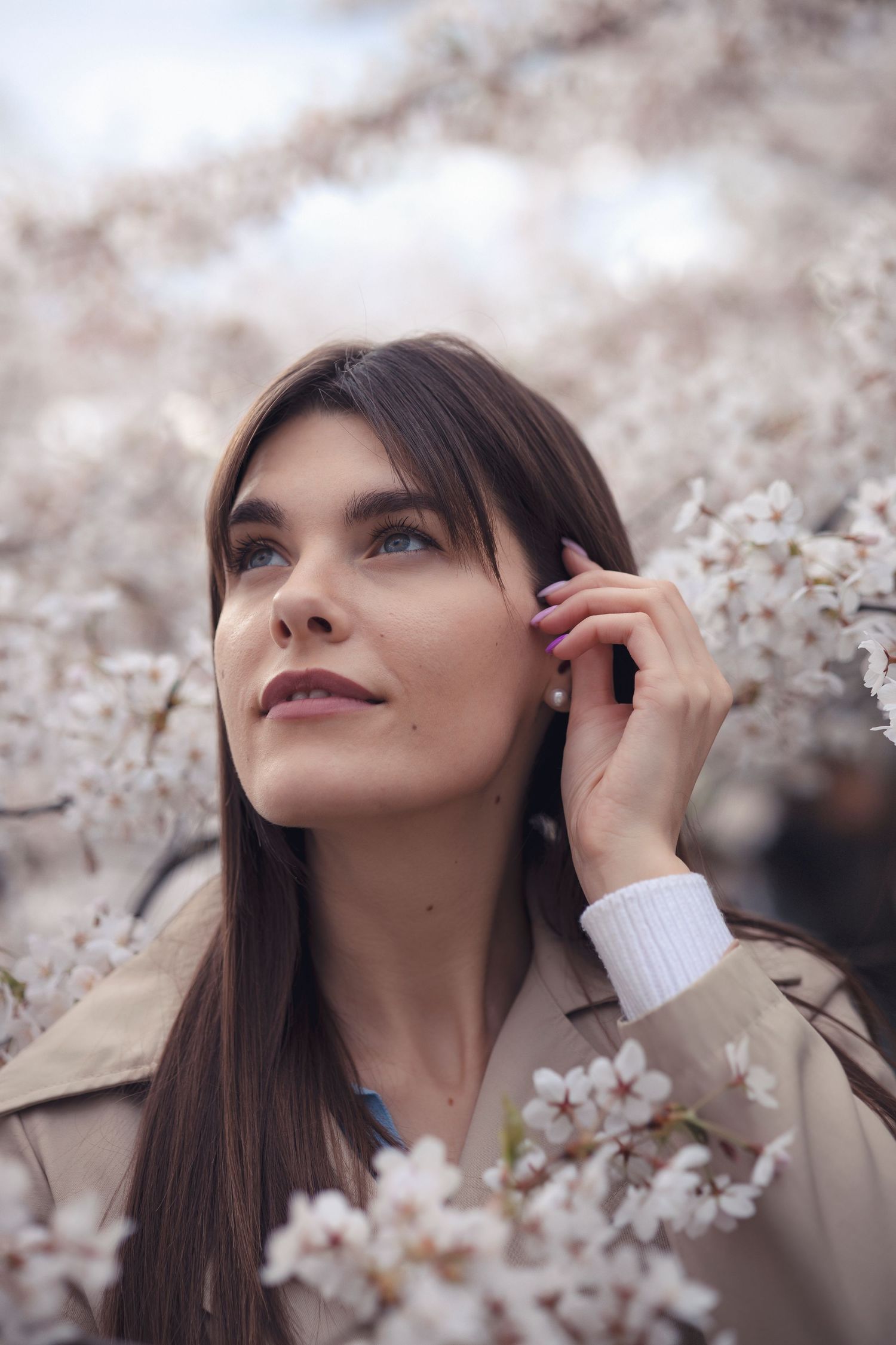 close-up portrait of a brunette model in cherry blossoms in the Chiune Sugihara Sakura Park