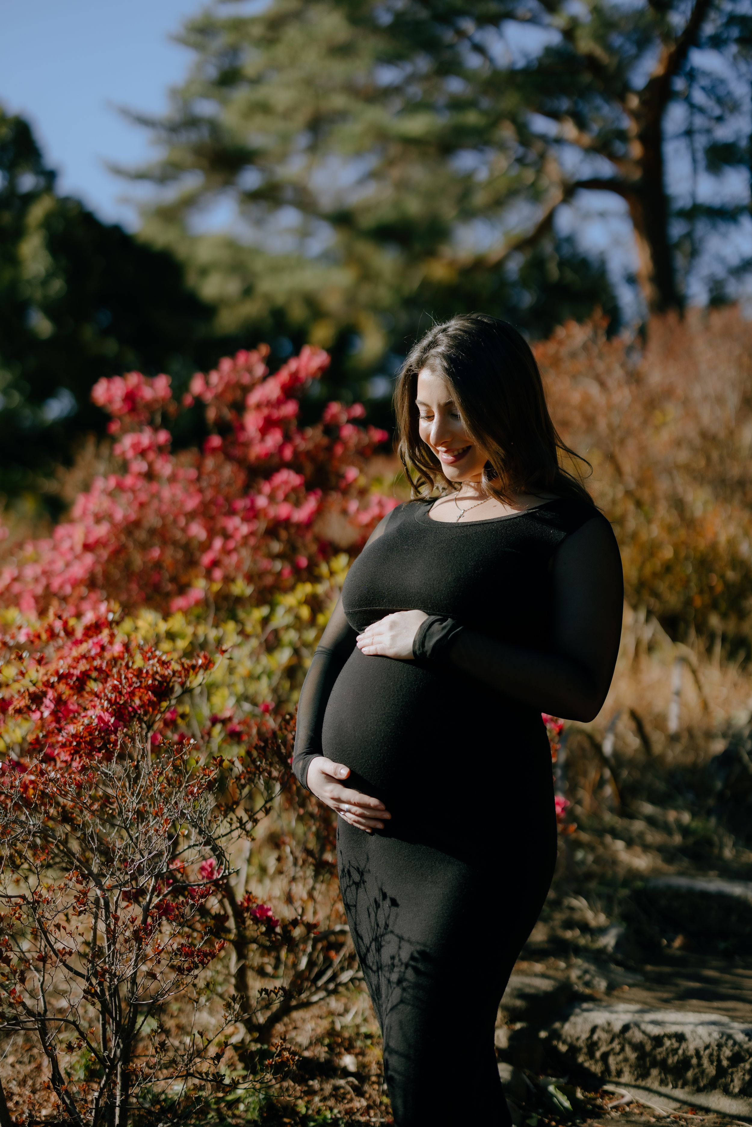 Expectant woman in black dress stands beside vibrant pink autumn foliage in outdoor garden setting.