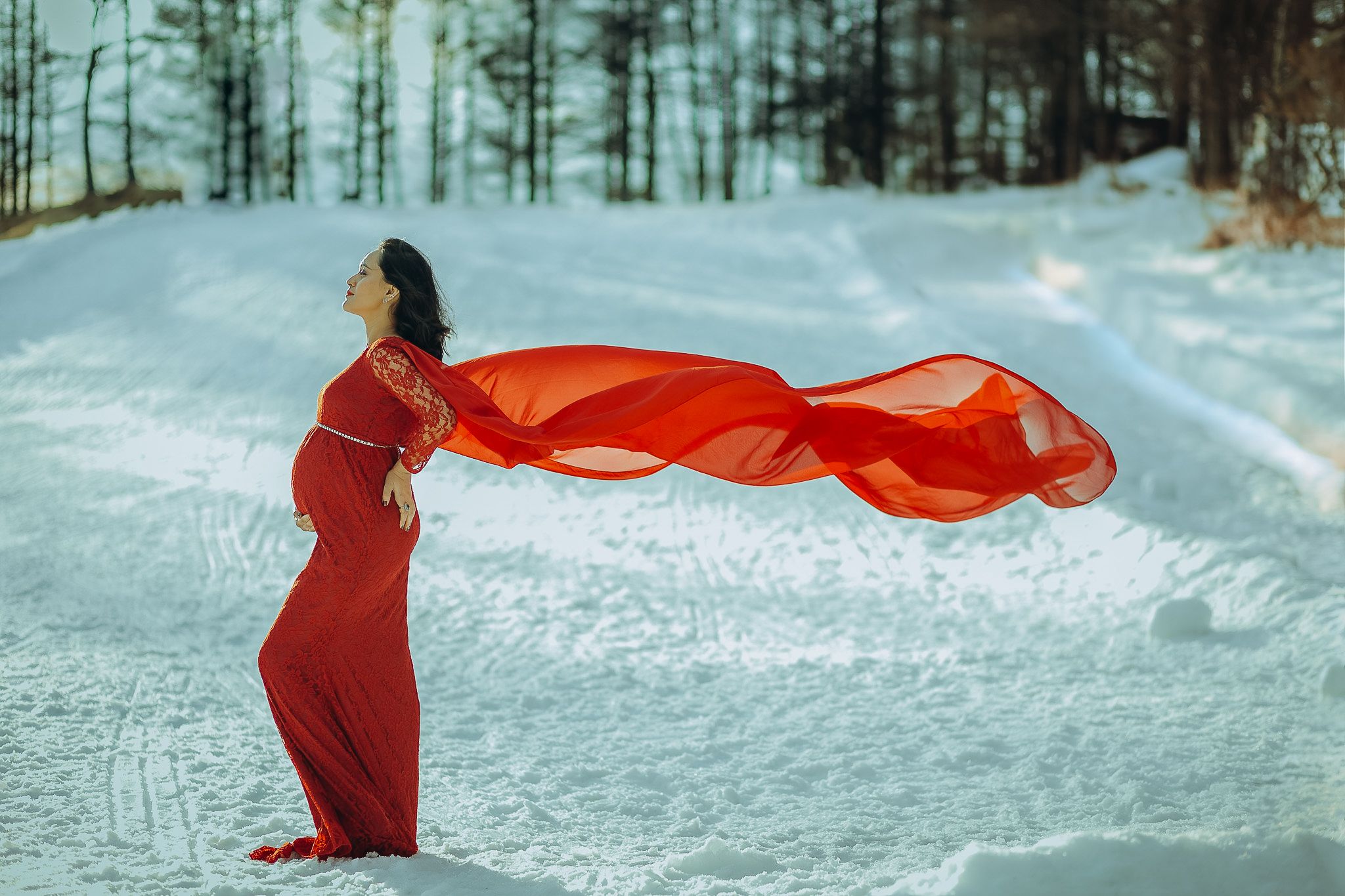 A figure in a red dress stands in snowy winter landscape as flowing fabric billows dramatically in the wind.