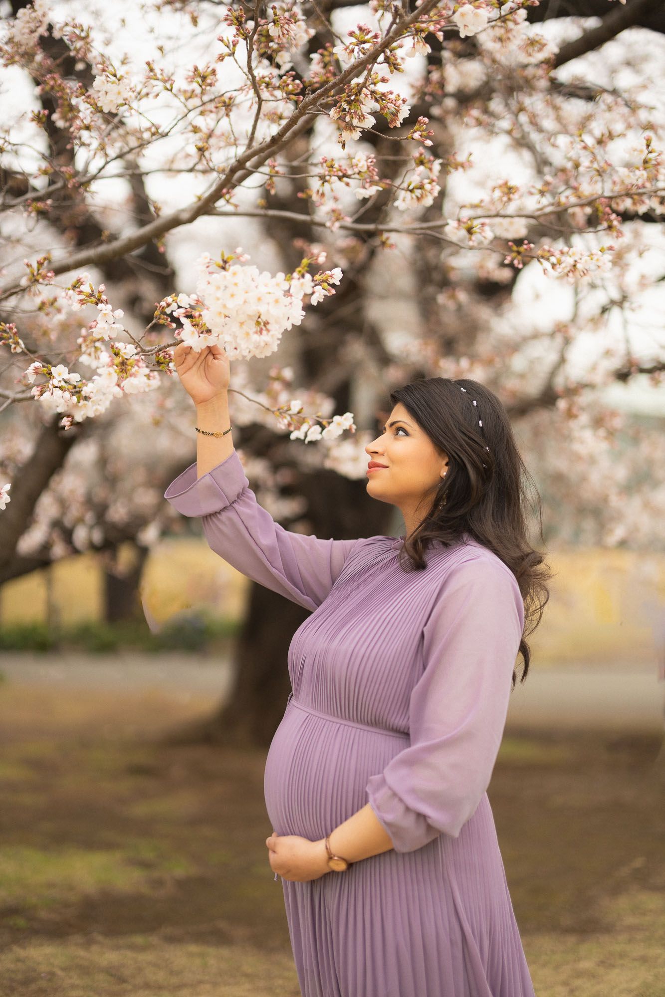 Pregnant woman in purple dress reaches up to touch cherry blossoms in spring garden setting.