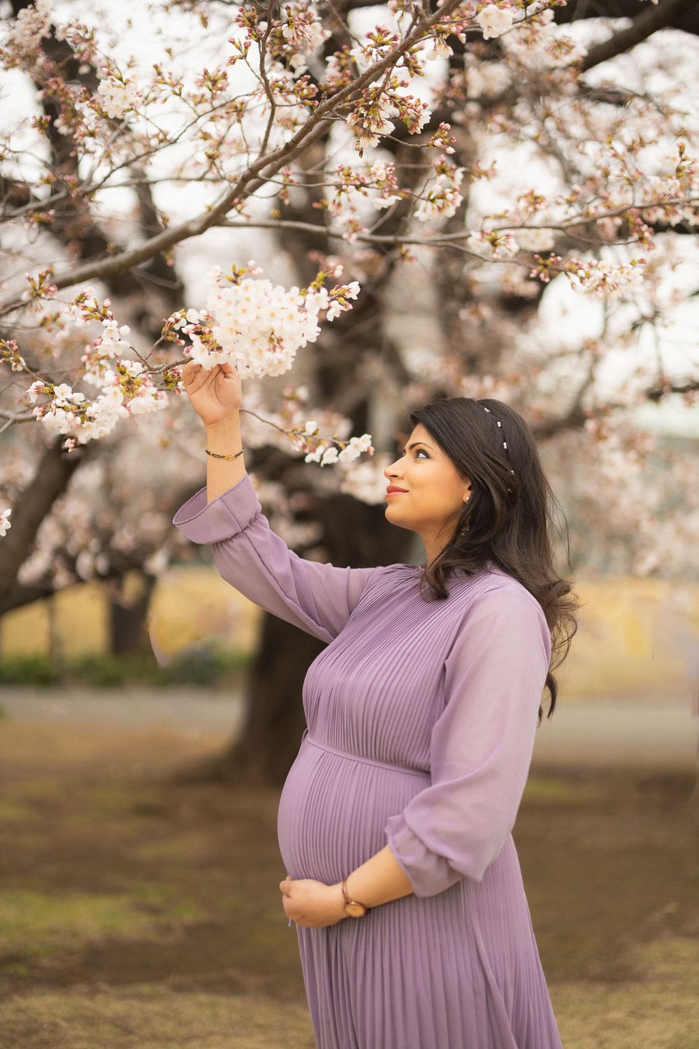 Pregnant woman in purple dress reaches up to touch cherry blossoms in spring garden setting.