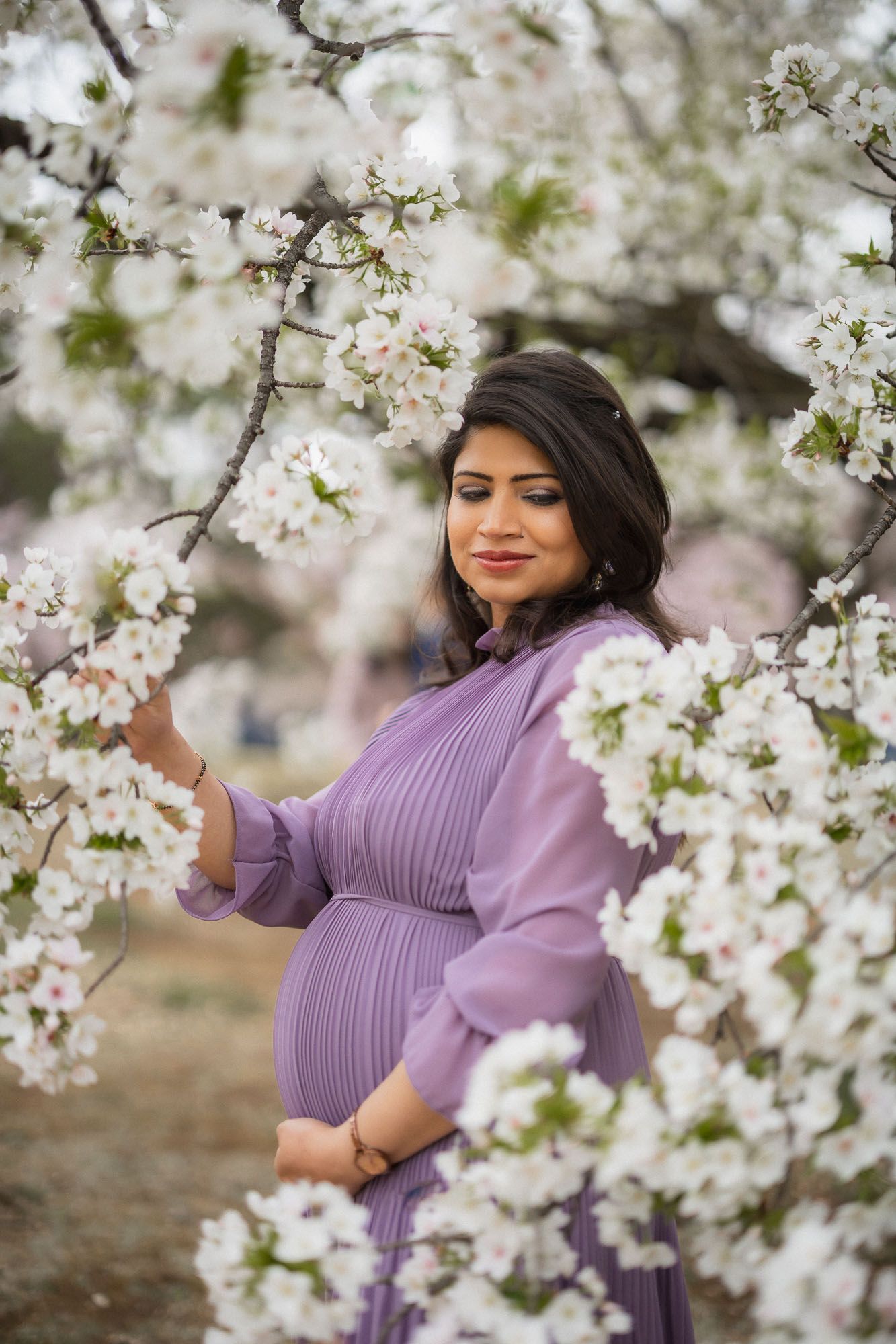 A beautiful maternity photo in a purple dress among blooming white cherry blossoms in spring.