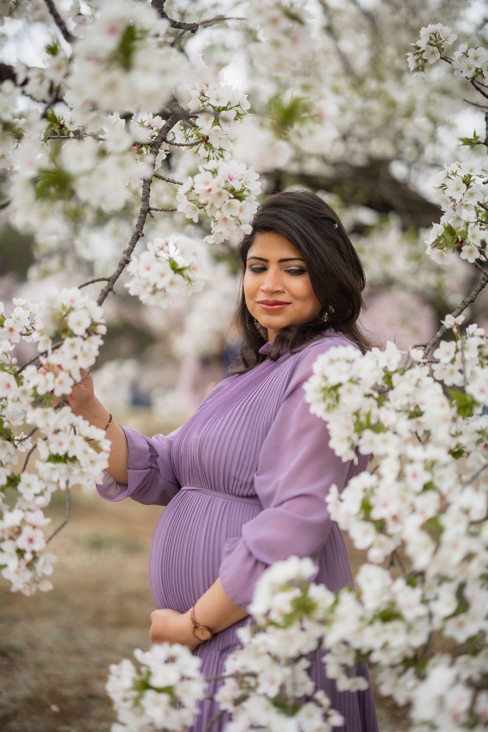 A beautiful maternity photo in a purple dress among blooming white cherry blossoms in spring.