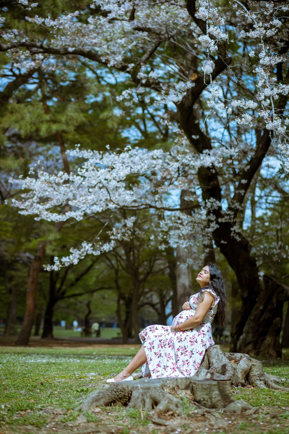 Woman in floral dress rests on rock under blooming cherry blossom trees.