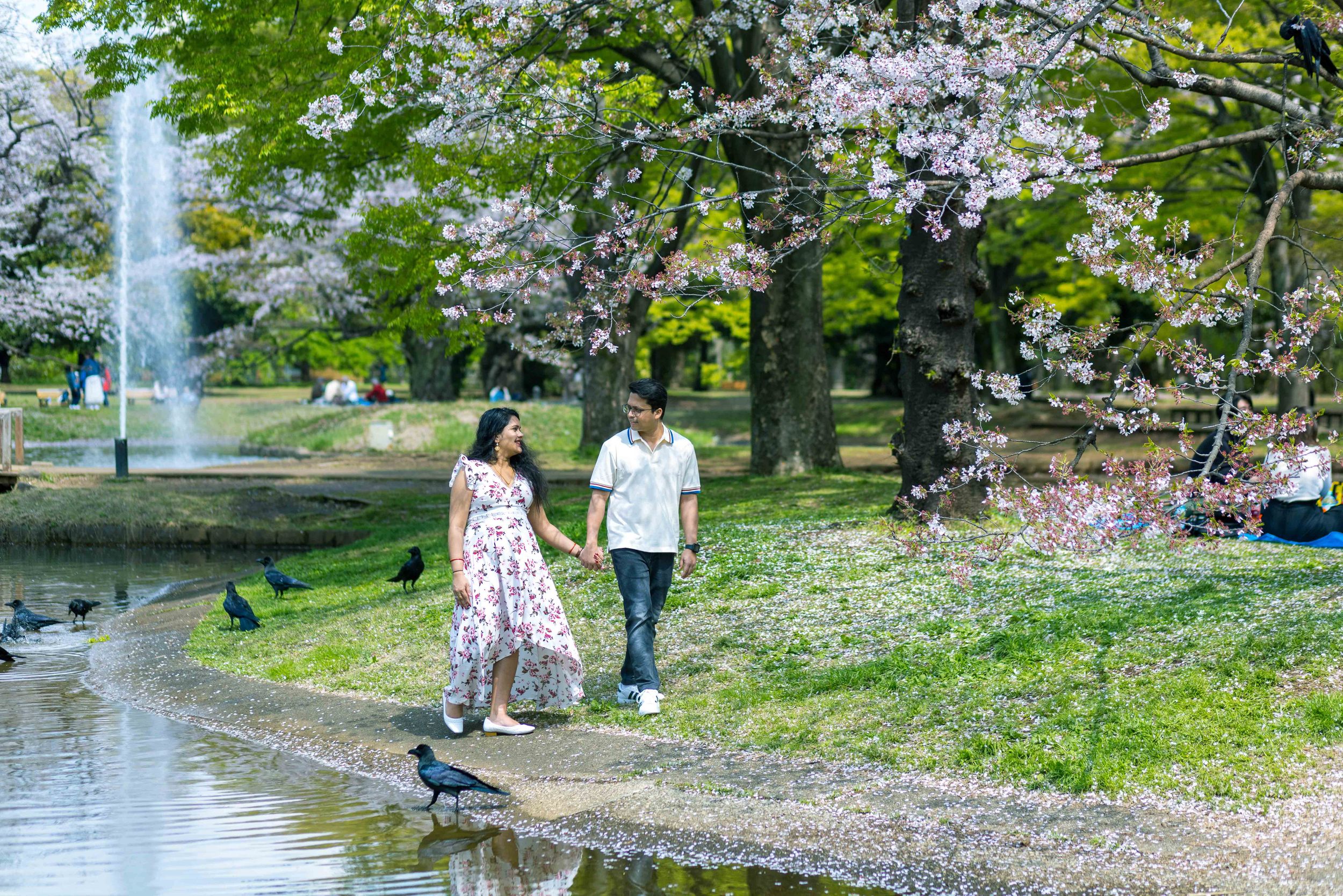 Couple strolls along pond edge under blooming cherry trees in park.