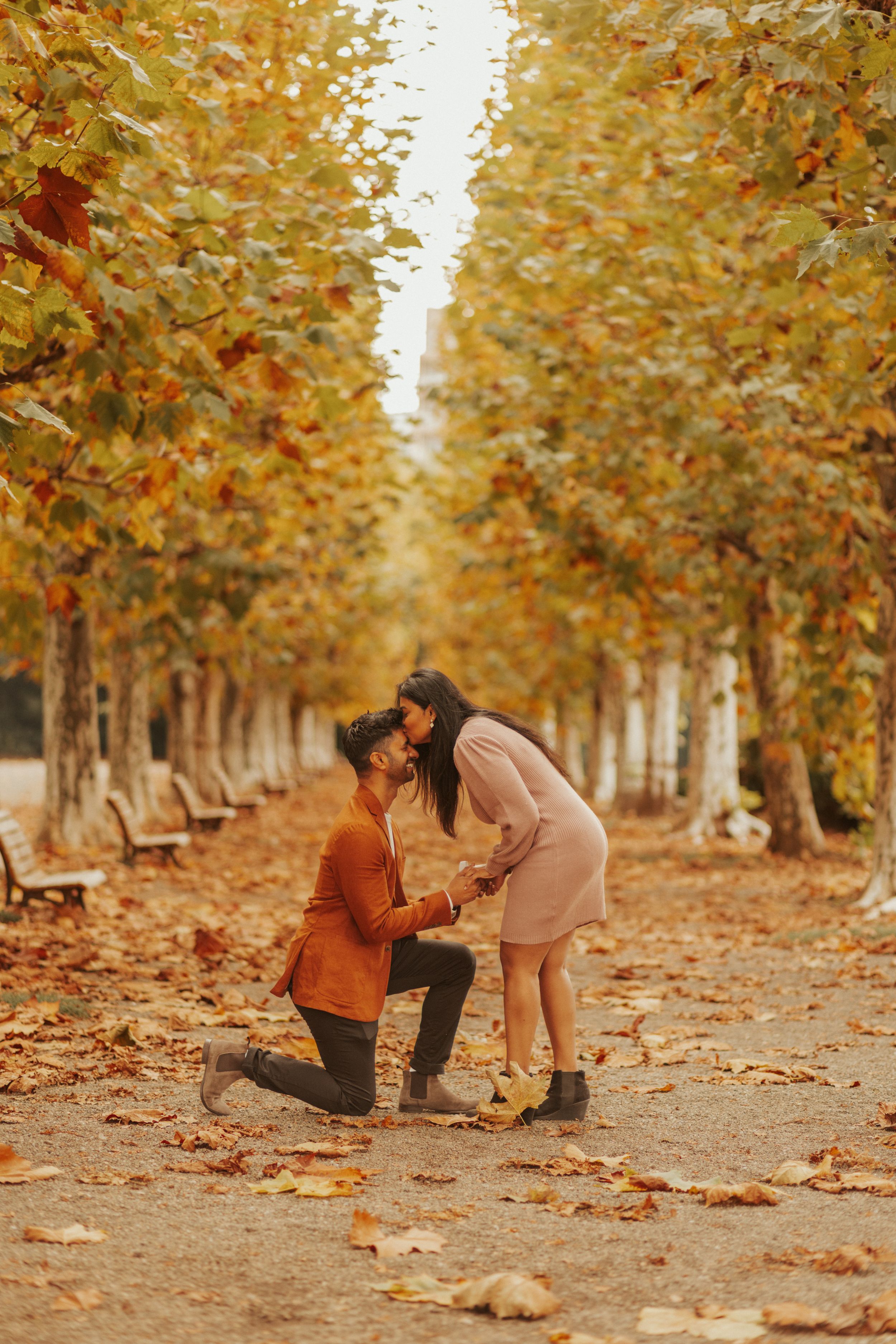 A romantic autumn proposal amid a tree-lined path covered in golden fallen leaves on a serene fall day.