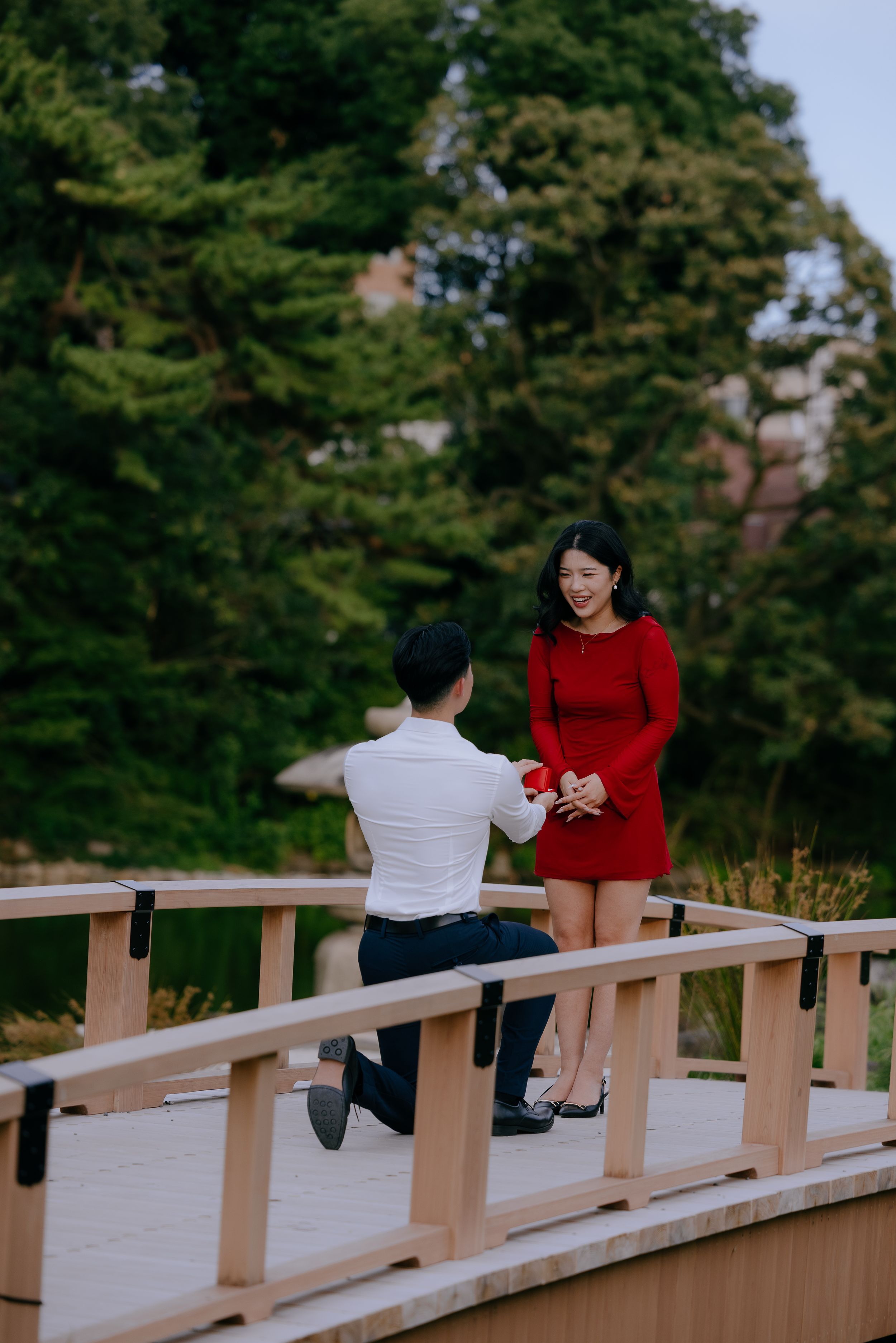 A romantic proposal scene on a wooden bridge surrounded by green trees on a beautiful day.