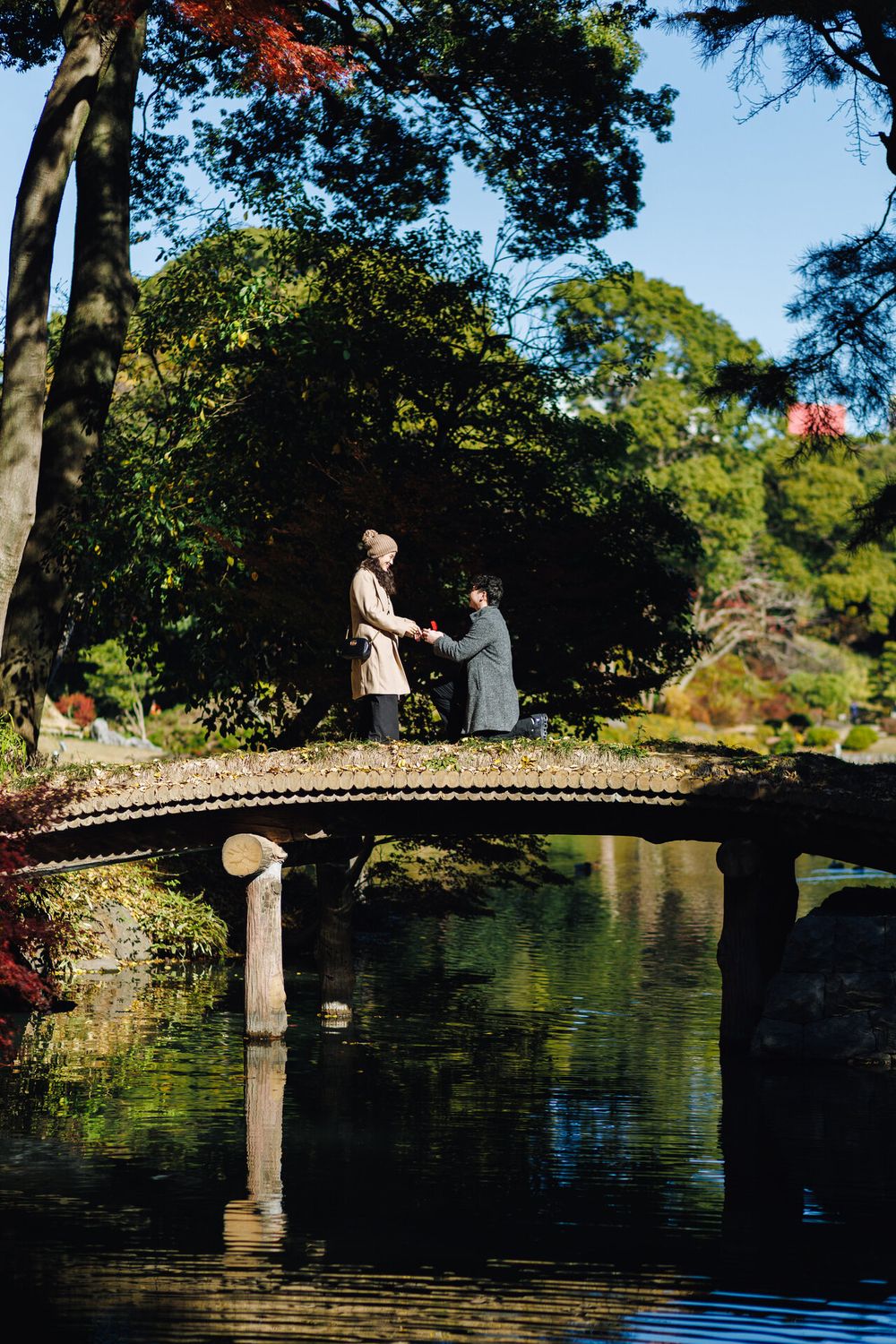 A romantic proposal moment on a curved bridge over reflective water in a Japanese garden.