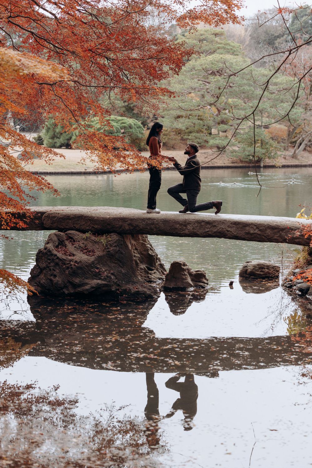 A romantic proposal moment on a fallen tree log over a tranquil pond surrounded by vibrant autumn foliage in a Japanese garden.