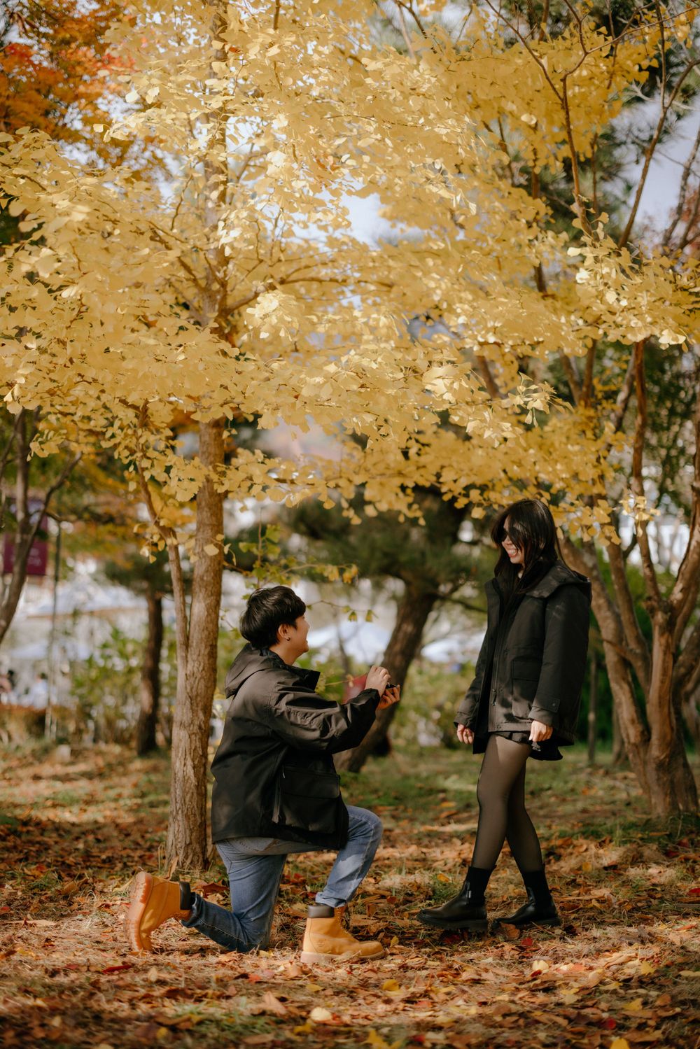 Couple in autumn scene under golden trees with fallen leaves during a special moment in a park setting.