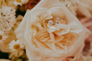 Arizona wedding photographer, elopement photographer, California wedding photographer, elopement photographer, Utah wedding photographer,