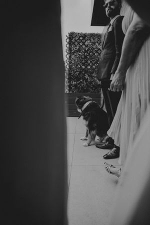 Arizona wedding photographer, elopement photographer, California wedding photographer, elopement photographer, Utah wedding photographer,