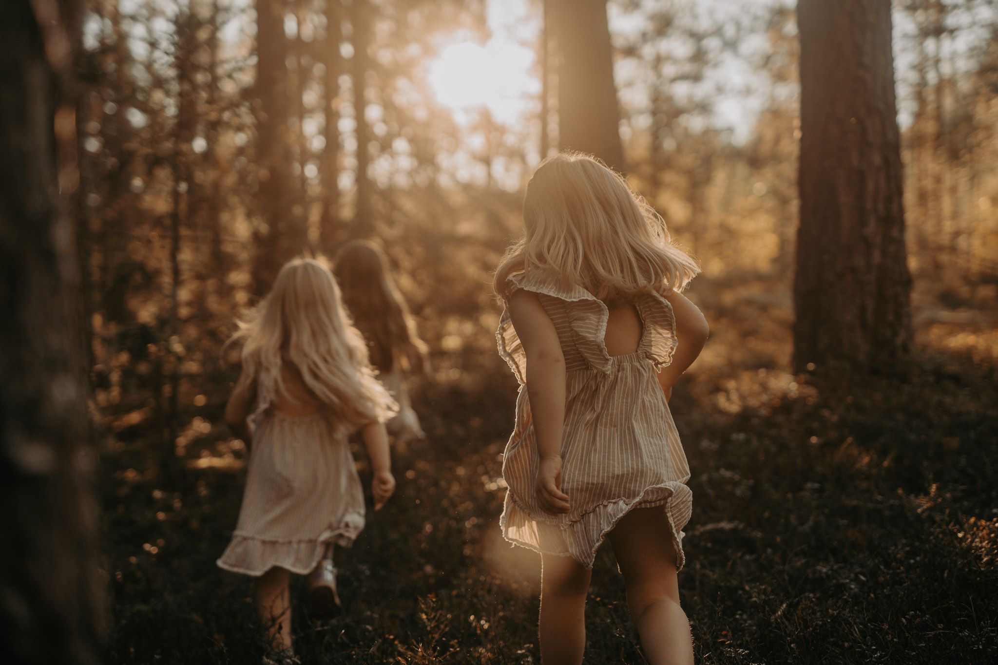 Two figures in flowy dresses walking through a sunlit forest.