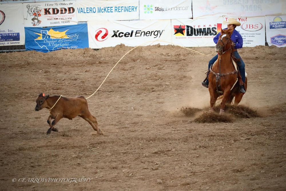A rodeo rider on horseback chases a calf during a breakaway roping competition event.