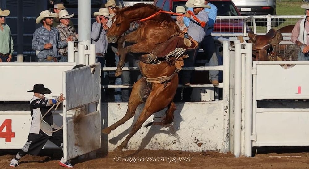 ranch bronc rider hanging on during intense rodeo competition.