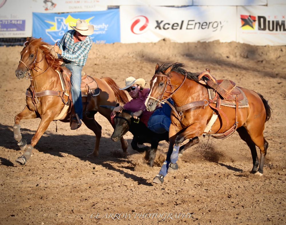 Steer wrestling competition with cowboys on horseback working together.