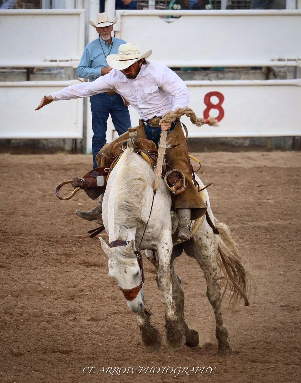 Bronc rider competing in rodeo on white bucking horse.