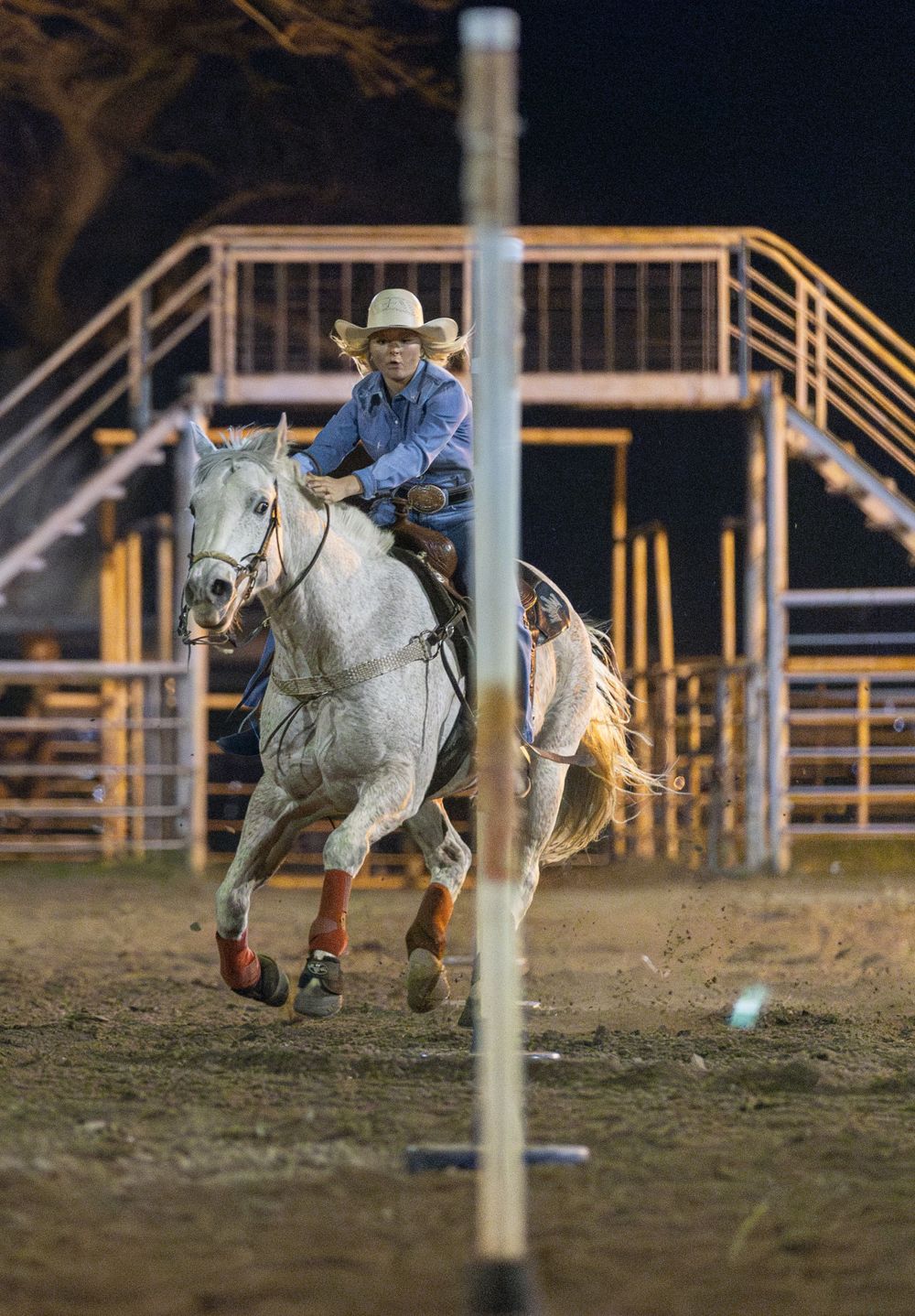 A cowboy rides a white horse around a pole during a rodeo event at an arena with wooden fencing in the background.
