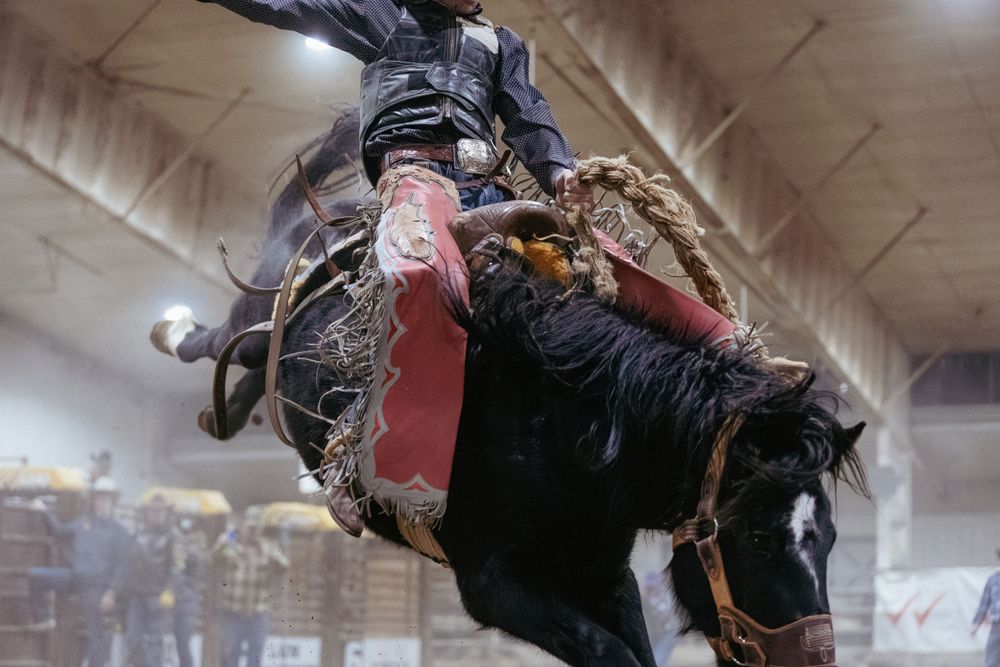 Dramatic low-angle shot of bronc rider on bucking horse during indoor rodeo event.