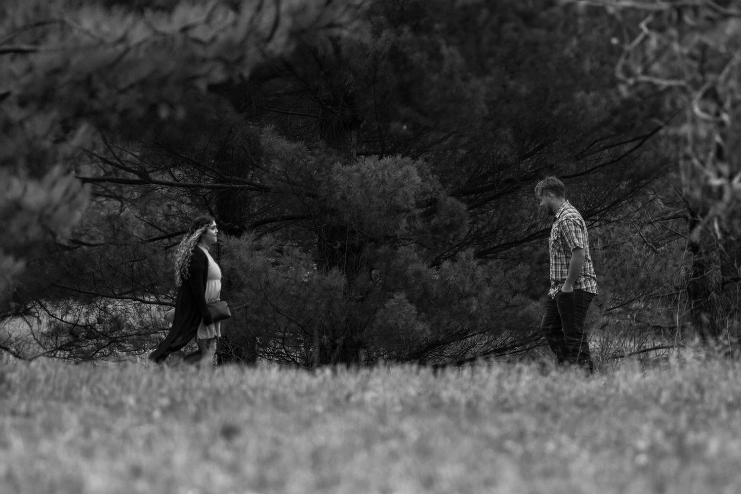 Two silhouettes walking apart in a black and white field landscape.