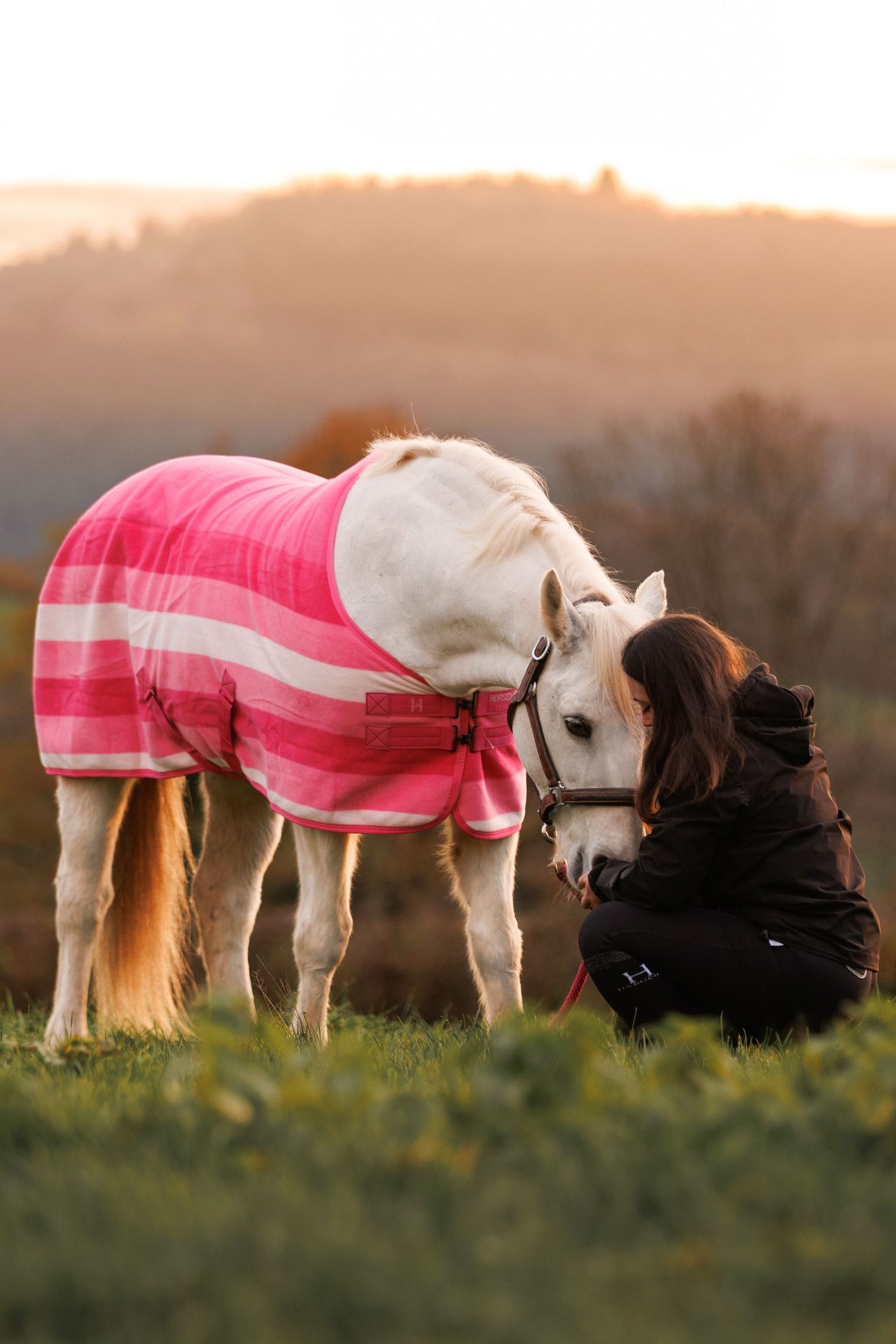 Photo d'une femme et son cheval