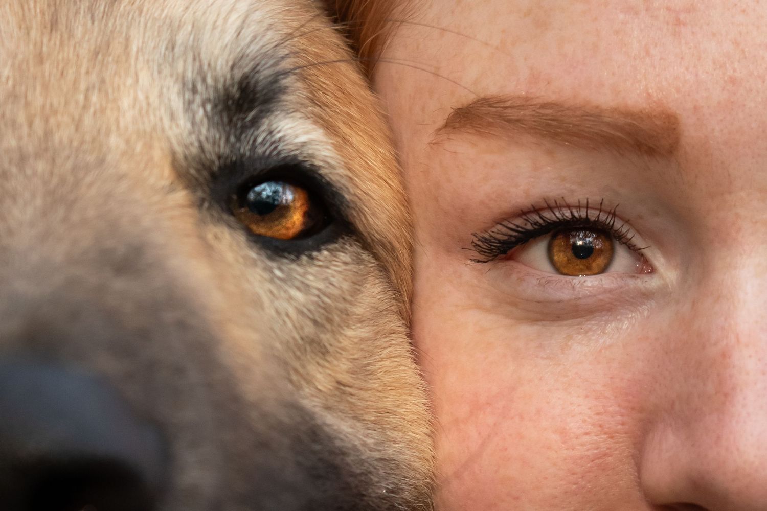 Photo contenant les yeux d'un chien et d'une femme