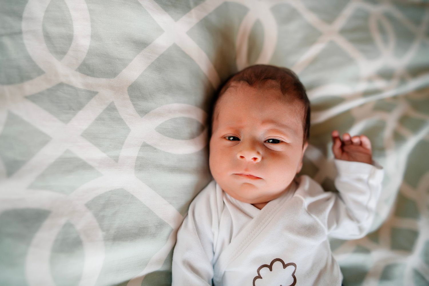 Ann Arbor Newborn Photographer