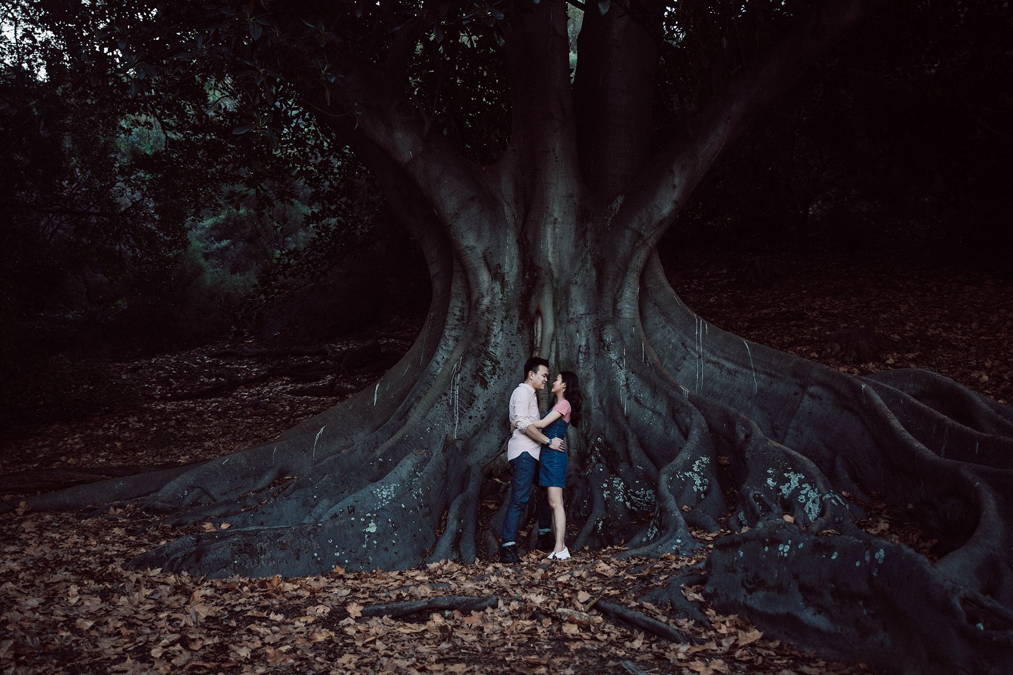 Pre wedding photography Perth