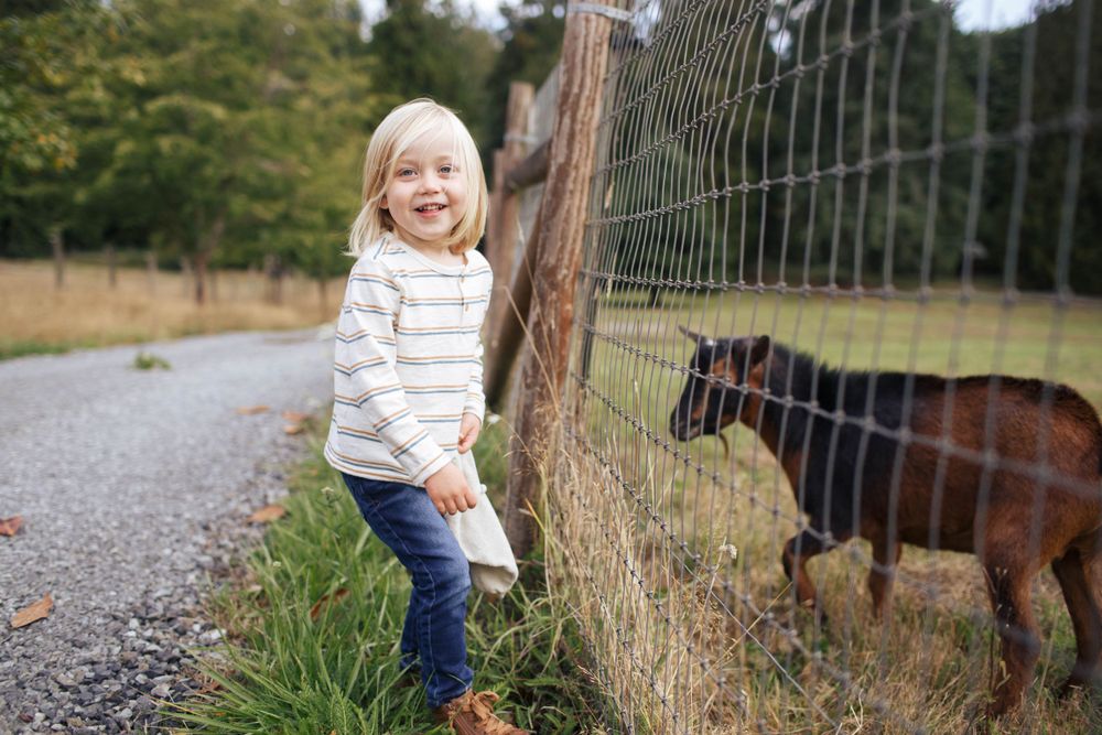 Snohomish family photographer at home: A young boy stands in his front yard at a family photo shoot in Snohomish WA