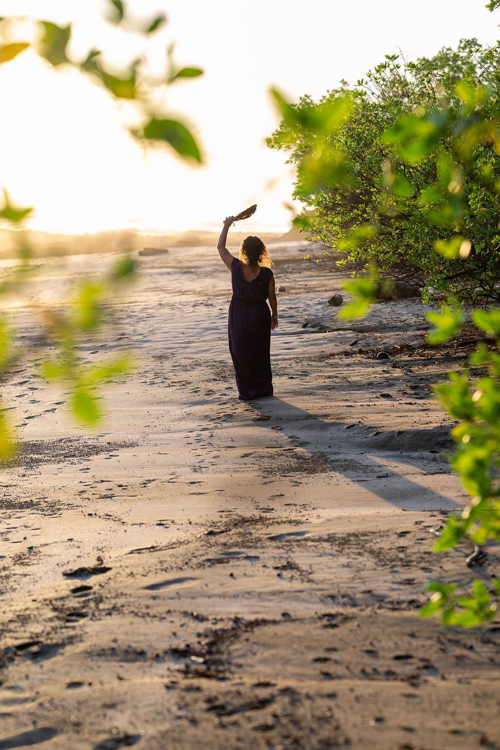 Silhouette of person in dress standing on beach path at sunset with leaves in foreground.