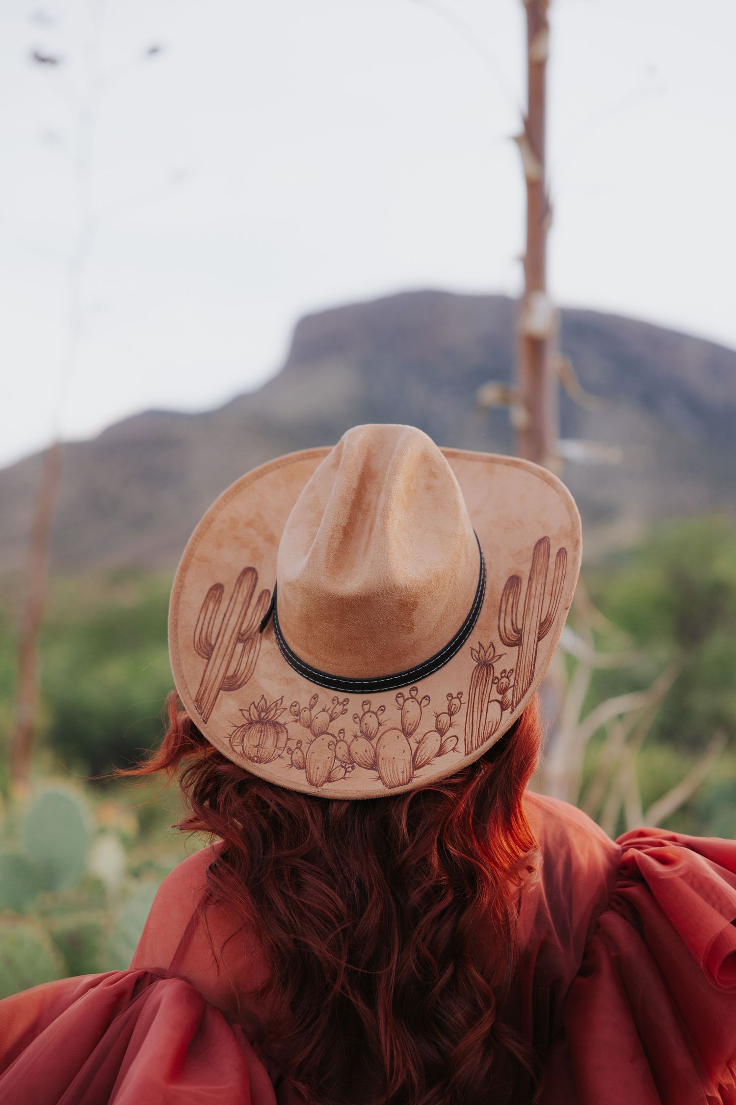 Back view of tan embroidered hat against desert mountain scenery.