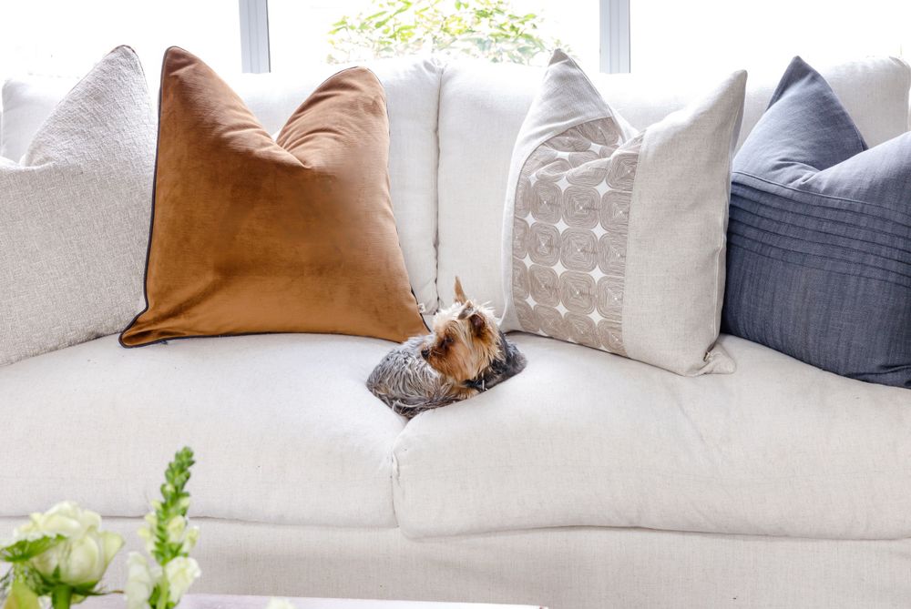 A small dog lounges on a white couch with decorative throw pillows in brown, gray and neutral tones.