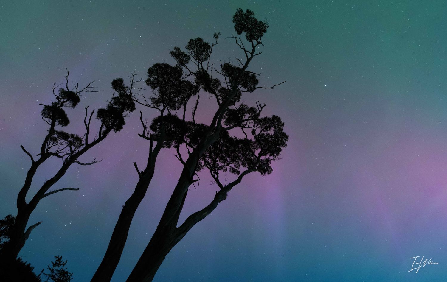 Aurora Australis, Tasmania, 11 May 2024
