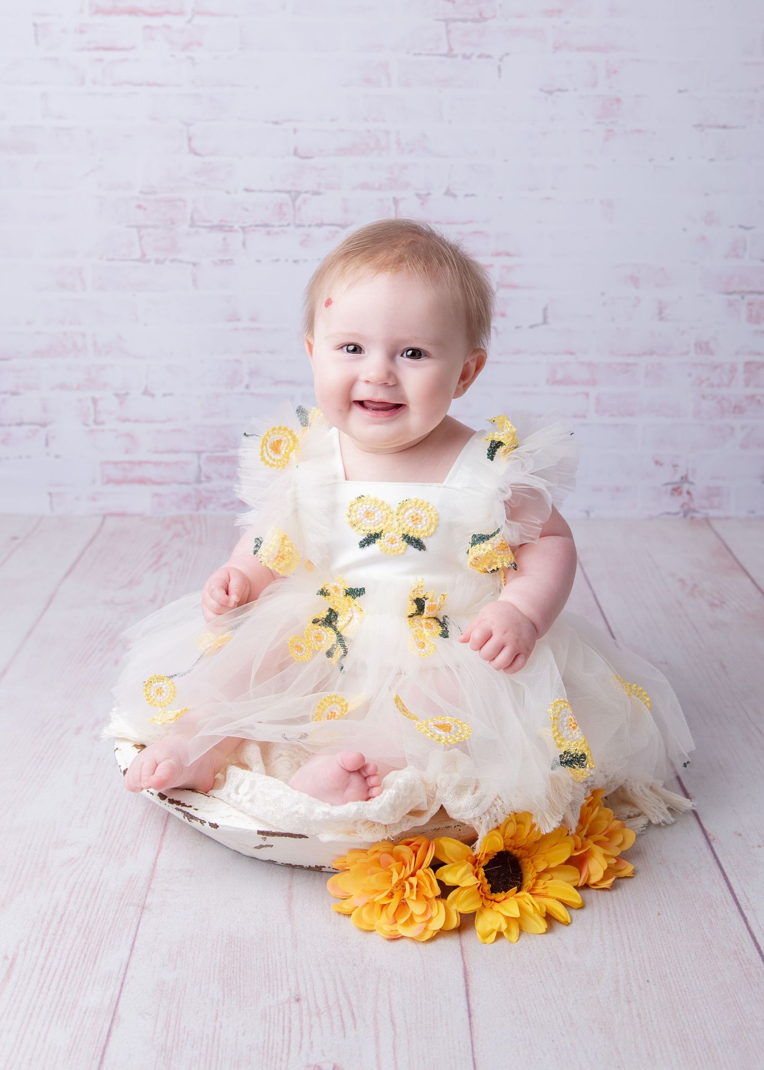 sitter session photoshoot baby picture bromsgrove Worcester