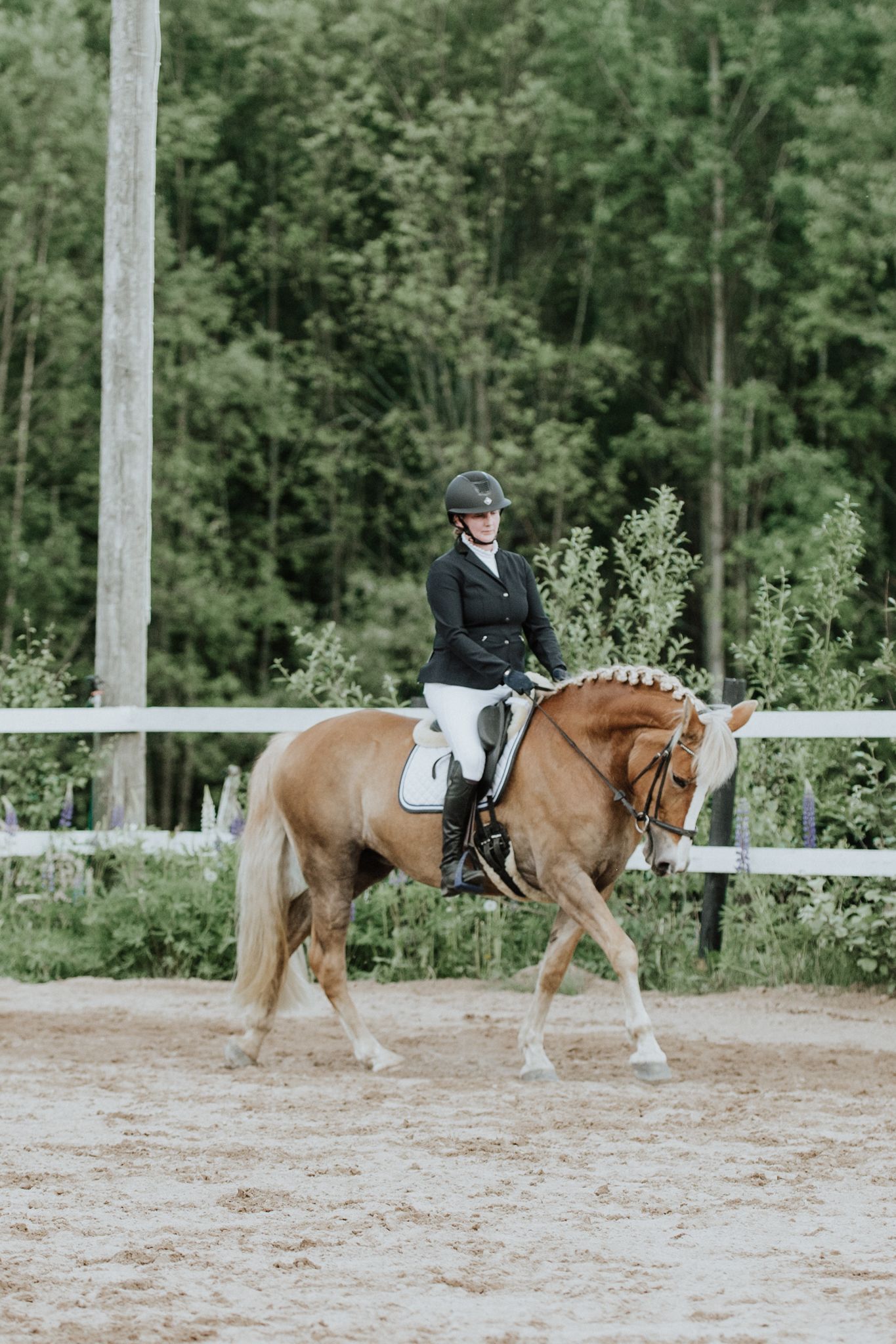 Dressage competition featuring rider on palomino horse in formal arena setting.