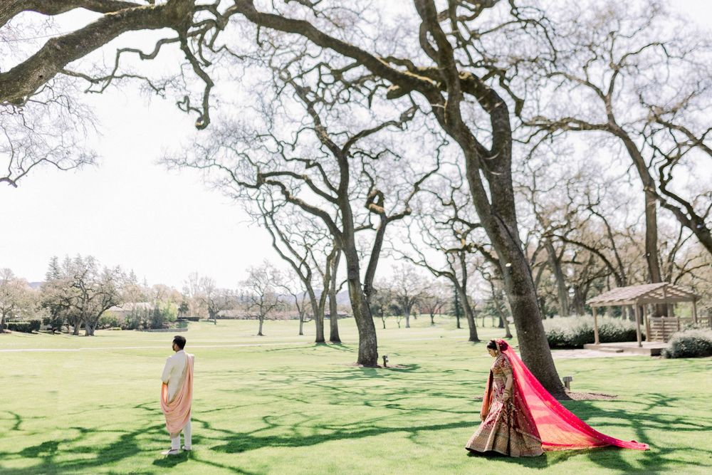 Natural park setting with blooming cherry trees creating a romantic spring atmosphere.