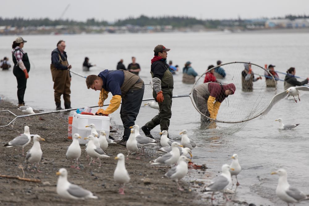 A group of people feed seagulls on a beach while wearing waterproof gear on an overcast day.