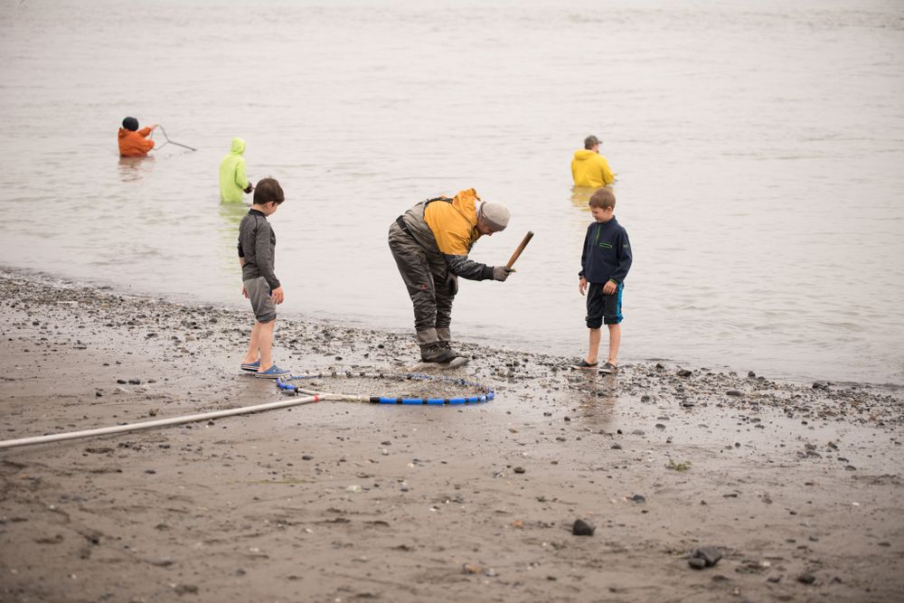 People on a beach collecting or studying items at the water's edge.
