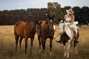 Melbourne equine photographer specializing in end of life photoshoots