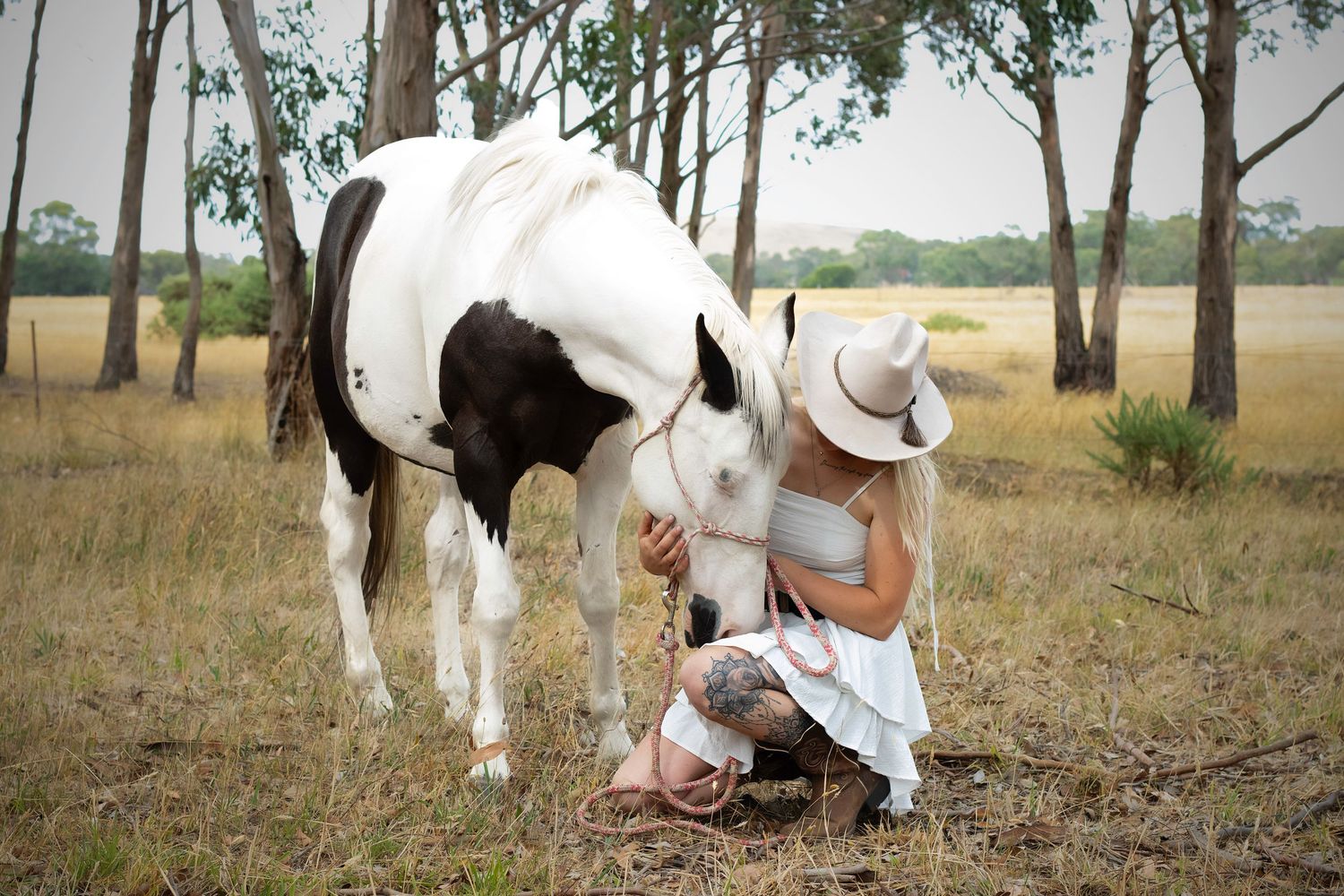 Melbourne equine photographer specializing in end of life photoshoots