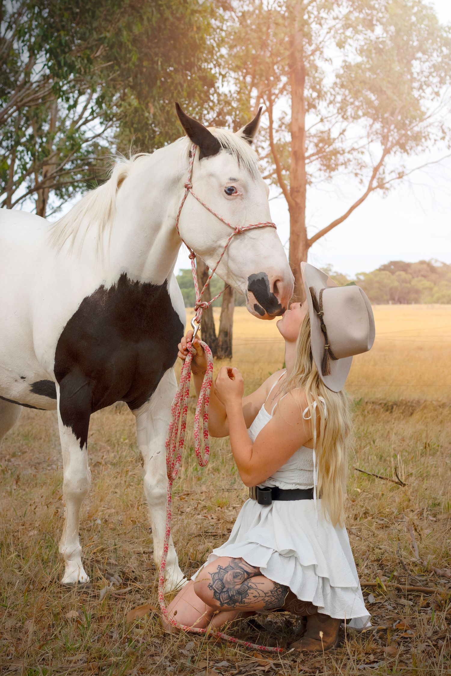 Melbourne equine photographer specializing in end of life photoshoots